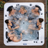Spa Miami Full: Jacuzzi de Exterior para 6 Personas con 101 Jets y Tecnología Balboa